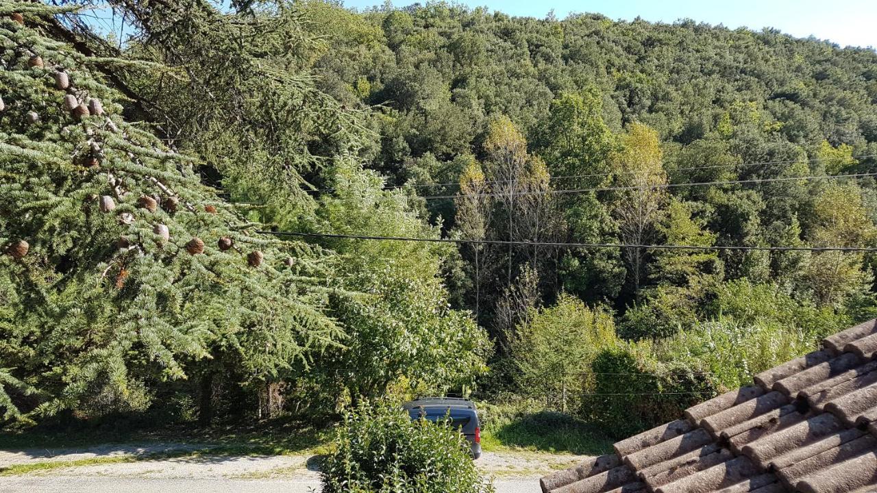 Le Clos Du Cedre Saint Sebastien d'Aigrefeuille Exterior foto