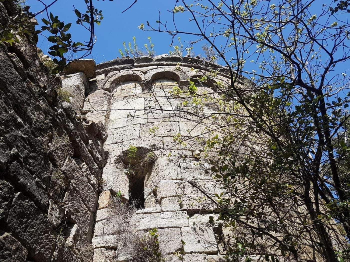 Le Clos Du Cedre Saint Sebastien d'Aigrefeuille Exterior foto